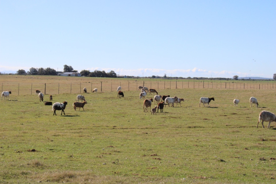 0 Bedroom Property for Sale in Riversdale Rural Western Cape